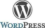 Wordpress website reparatie, Diensten en Vakmensen, Webdesigners en Hosting, Webdesign