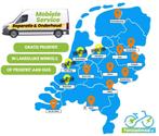 elektrische bakfiets ROYAL CARGO BIKE twee en driewieler SG, Overige merken, 4 kinderen of meer, Huif, Nieuw
