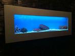 RVS Wand / muur aquaria met LED verlichting diverse kleuren, Dieren en Toebehoren, Ophalen, Nieuw, Leeg aquarium