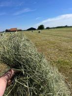 Midi balen voordroog hooi ( Genummerd en met analyse! ), Dieren en Toebehoren, Dierenvoeding, Vee